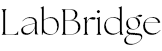 LabBridge